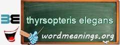 WordMeaning blackboard for thyrsopteris elegans